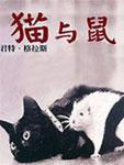 猫与鼠