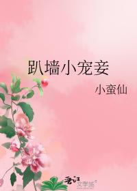 趴墙小宠妾